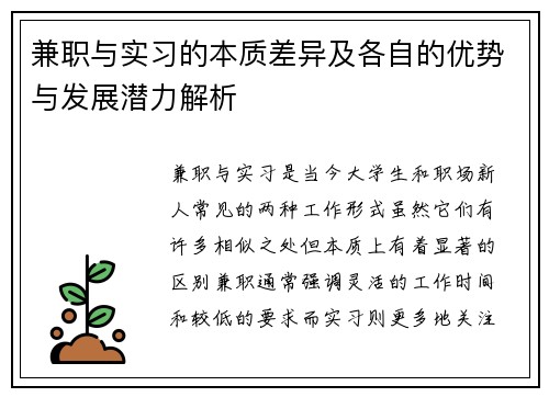 兼职与实习的本质差异及各自的优势与发展潜力解析