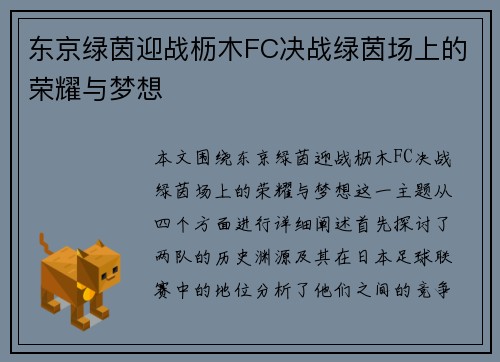 东京绿茵迎战枥木FC决战绿茵场上的荣耀与梦想