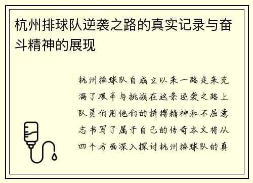 杭州排球队逆袭之路的真实记录与奋斗精神的展现