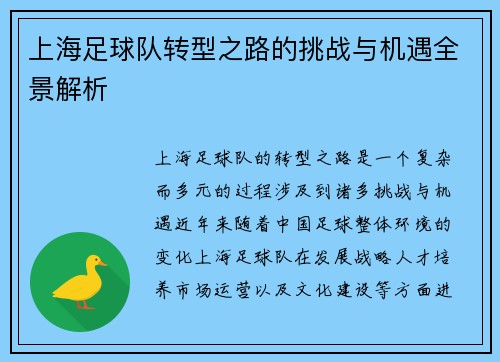 上海足球队转型之路的挑战与机遇全景解析