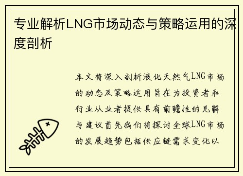 专业解析LNG市场动态与策略运用的深度剖析