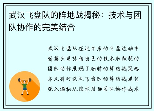 武汉飞盘队的阵地战揭秘：技术与团队协作的完美结合