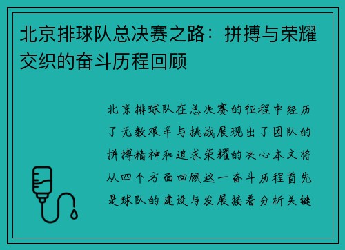 北京排球队总决赛之路：拼搏与荣耀交织的奋斗历程回顾